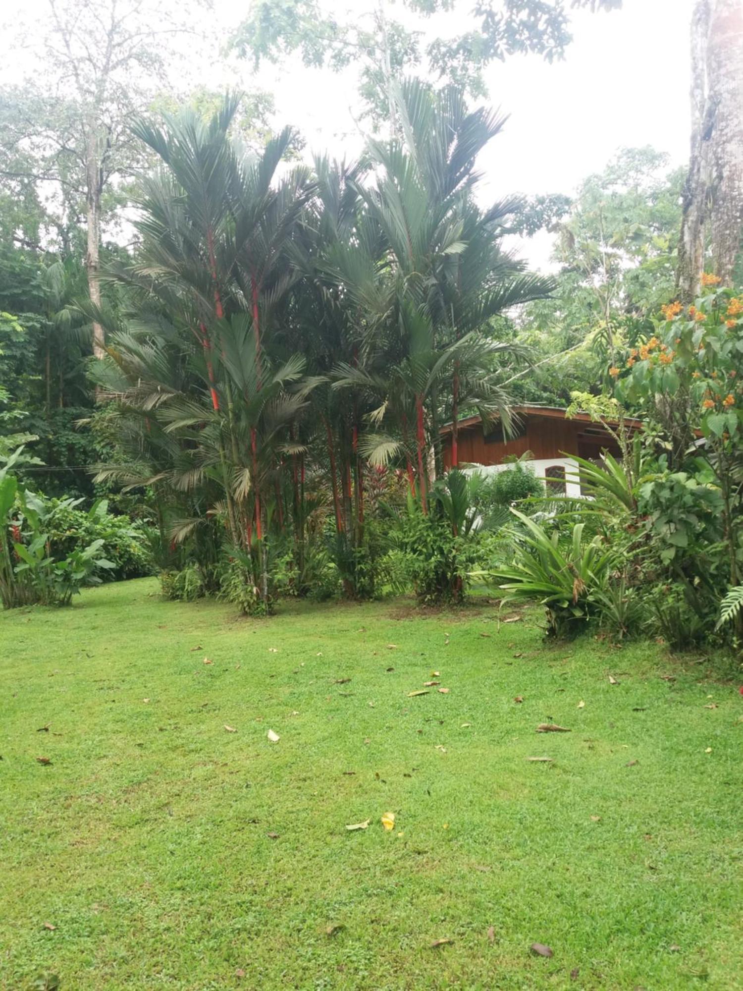 Los Delfines Lodge Puerto Viejo de Talamanca Екстер'єр фото
